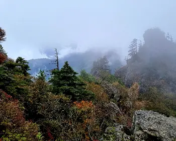 지리산 국립공원_9