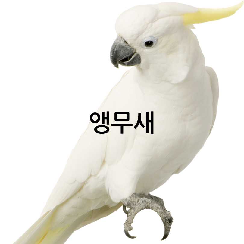 특수동물동물병원