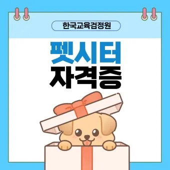 펫시터자격 교육과정 활동영역 창업준비 시니어 돌봄 일거리 찾기_13