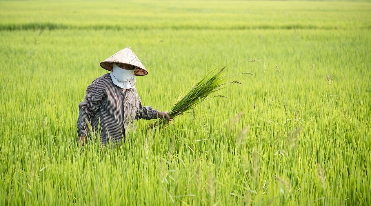 수직농장 병해충 친환경 방제