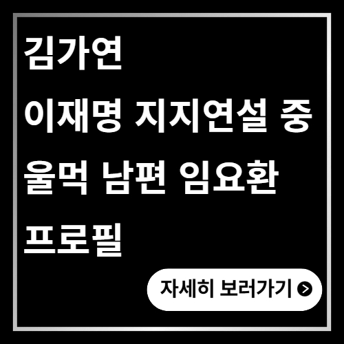 김가연 이재명 지지연설 울먹 프로필 남편 임요환
