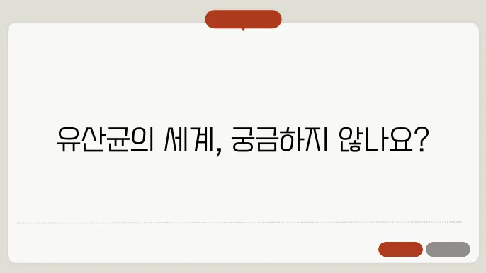 유산균 종류