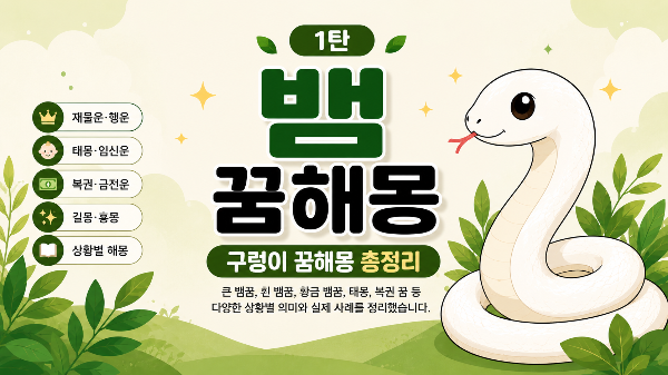 뱀 꿈해몽 구렁이 꿈해몽 총정리 1탄 이미지