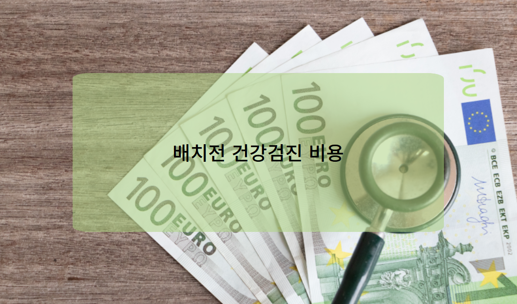 배치전 건강검진 비용