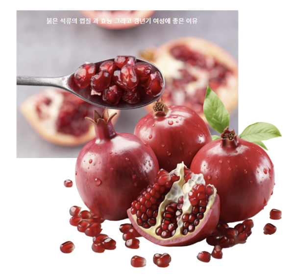 붉은 석류를 통한 갱년기 증상 개선