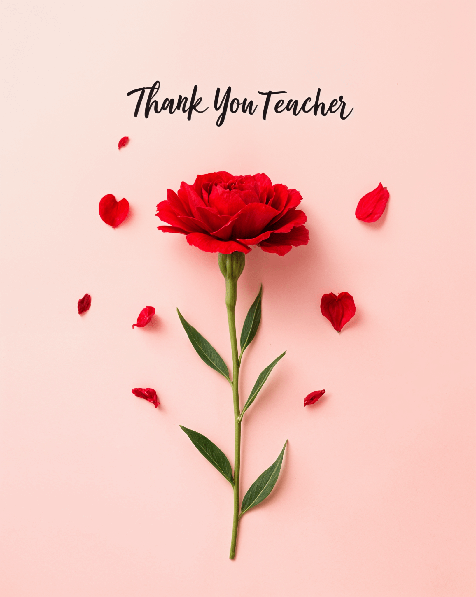 스승의날카드만들기