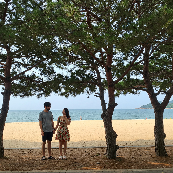 서해 대부도 방아머리 해수욕장 해변 산책로의 나무 그늘 아래 연인들이 모습