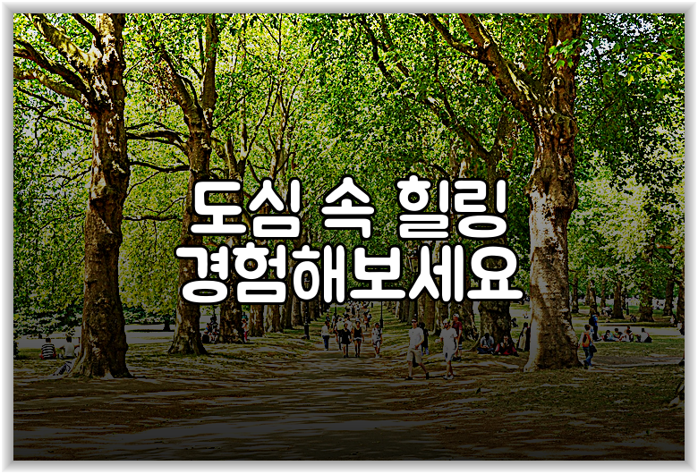 도심 속 힐링 경험해보세요