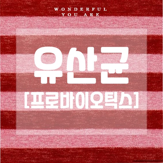 유산균 프로바이오틱스 완전 해부: 효능과 선택 가이드