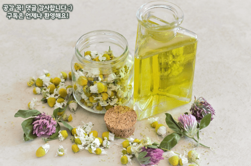 환절기 만성 기관지염에 도움 되는 음식