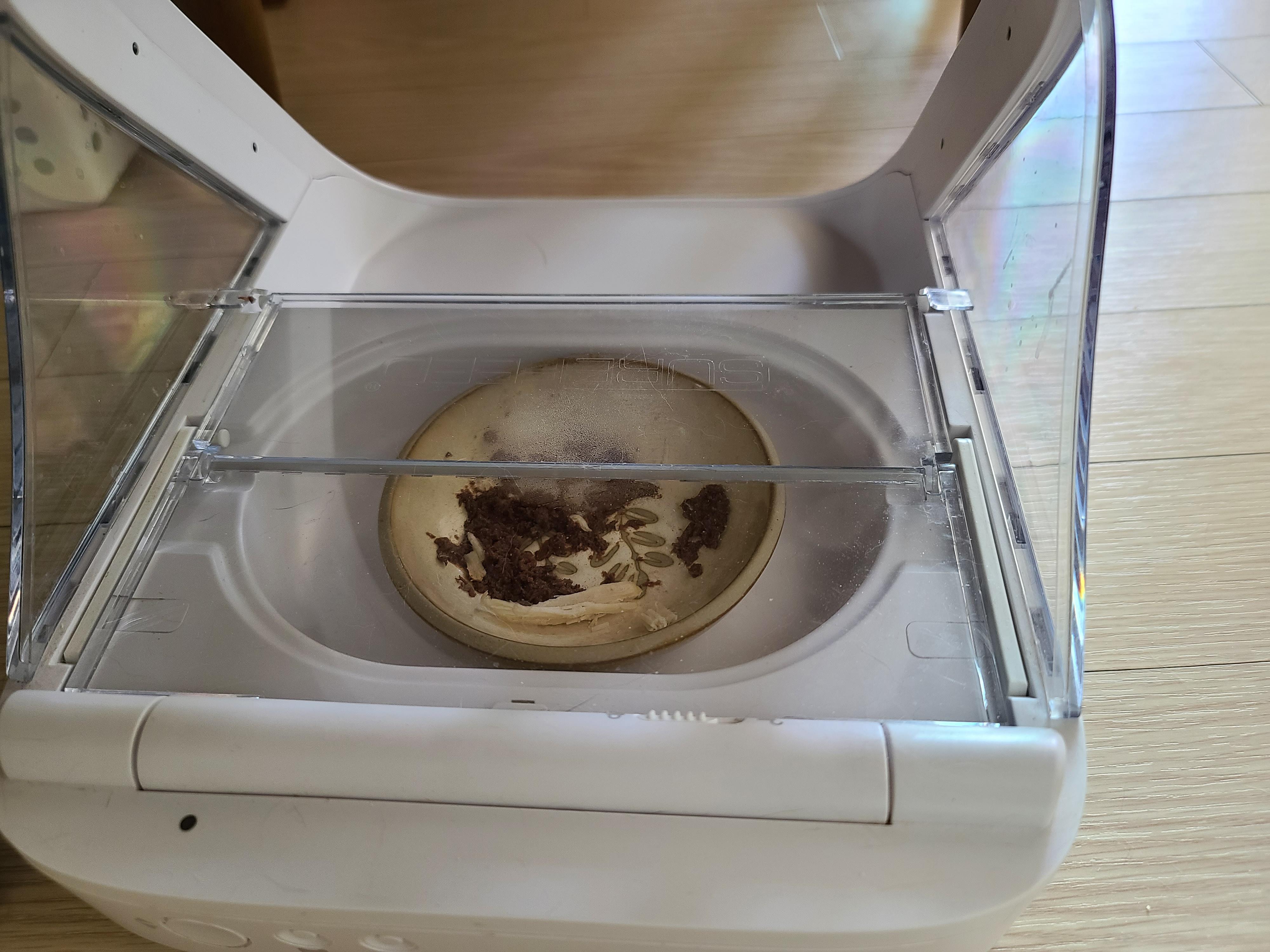 9냥이 집사의 눈뜨면 하는 일들.