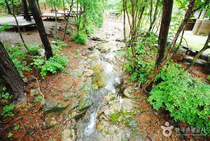 영양 가볼만한곳 베스트10