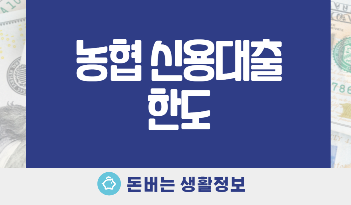 농협 신용대출 한도