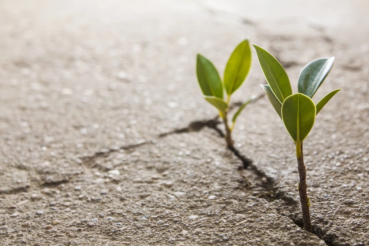 &ldquo;관계를 줄이는 건 포기가 아니다.&rdquo;