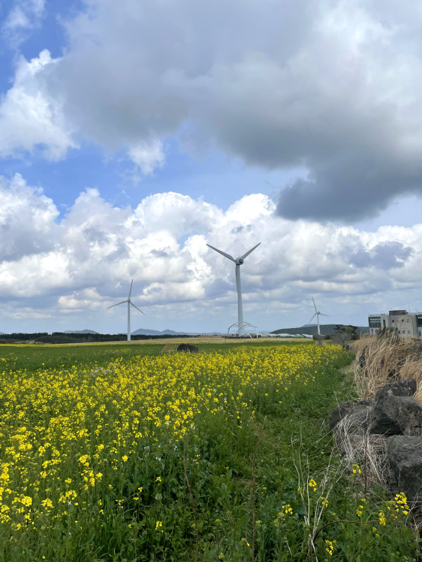 가시리 풍력발전단지 내부