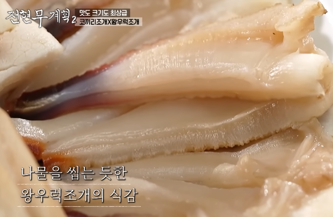 거제 왕우럭조개