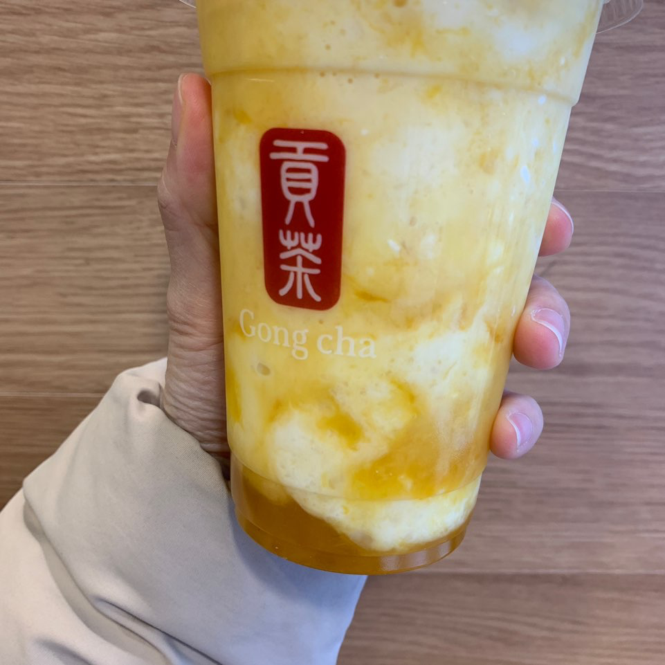 공차 그릭요거트 망고맛