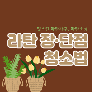 라탄-장점-단점-청소방법-섬네일