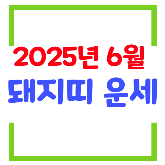 2025년 6월 돼지띠 생년별 운세