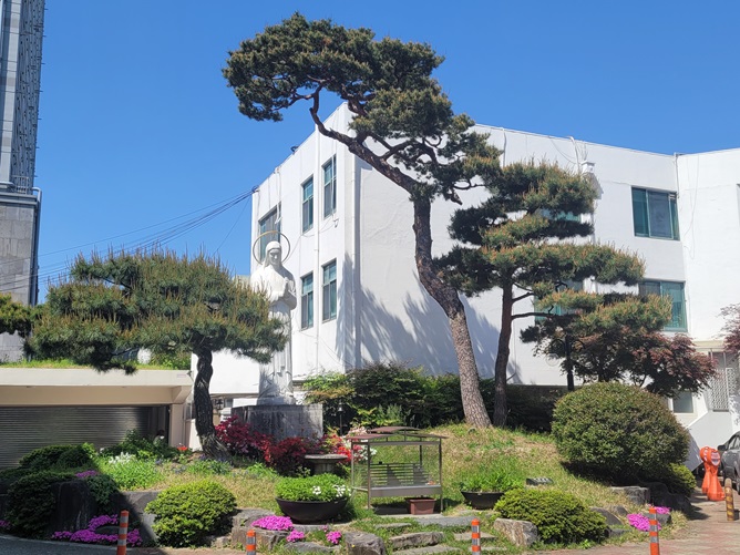 대전 대흥동성당 성모동산