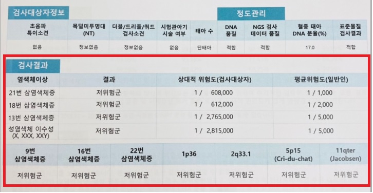 니프티검사 결과확인 예시