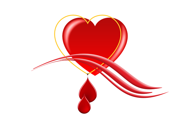 국민연금 이미지