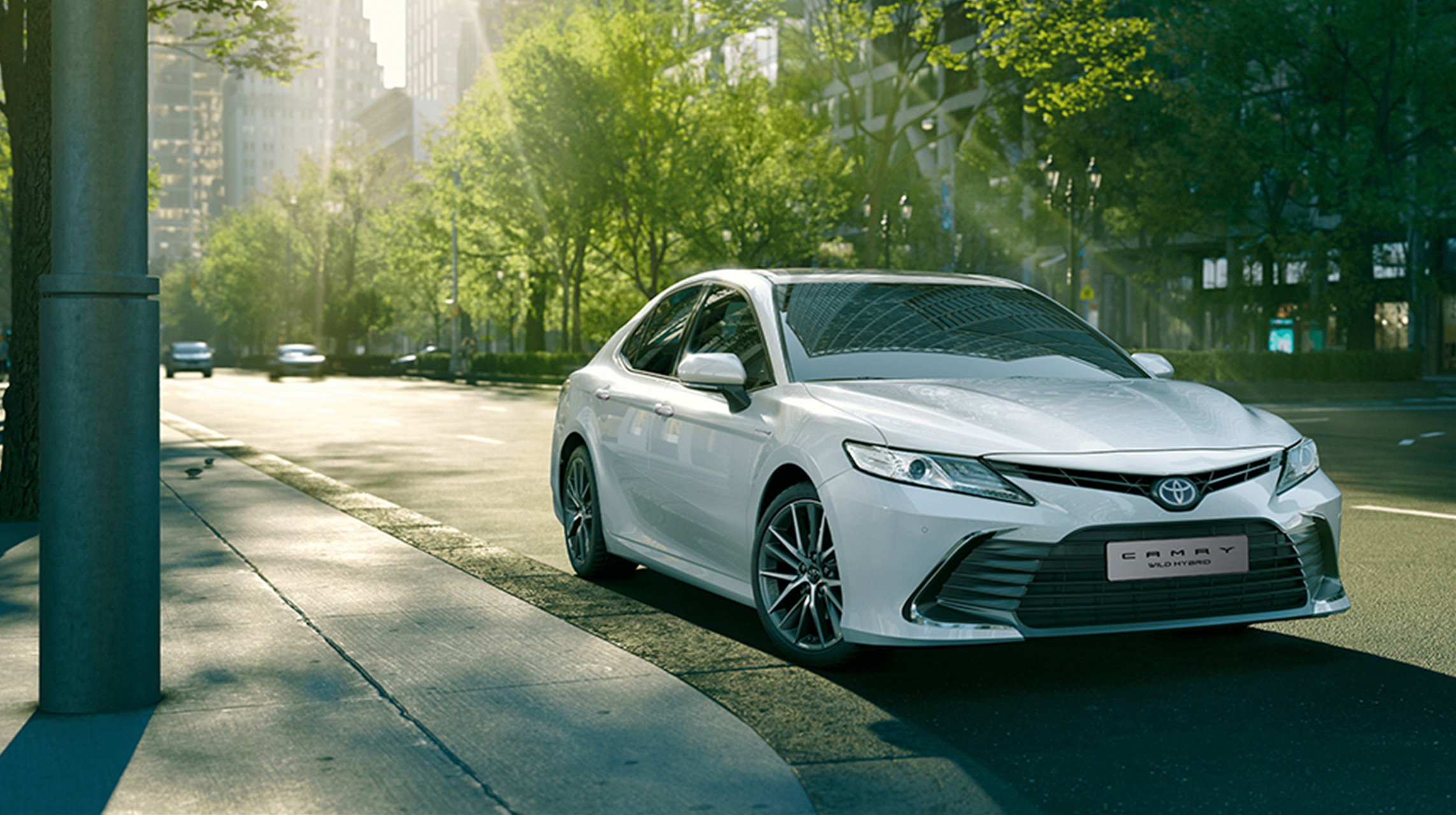 토요타 캠리 하이브리드