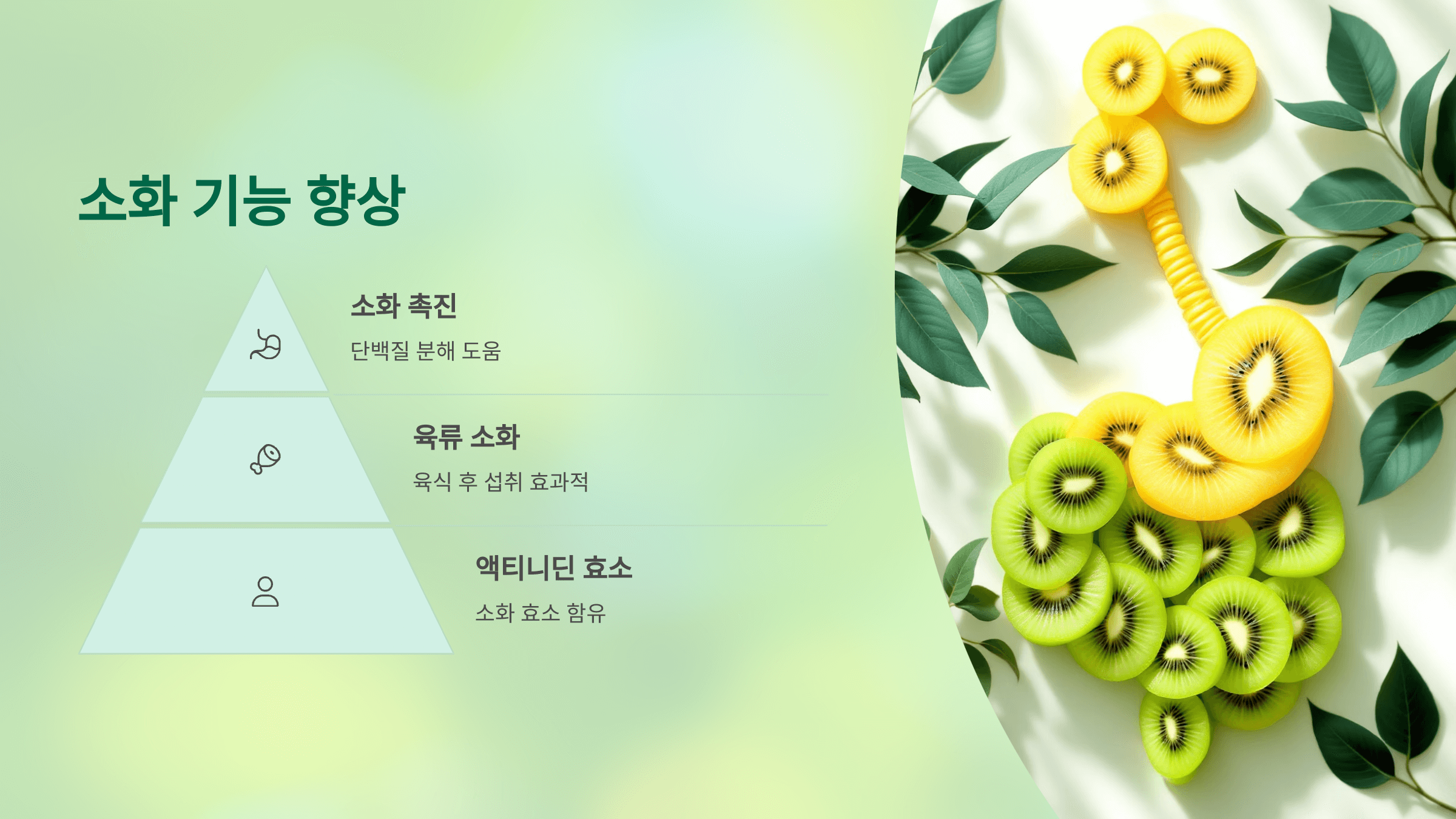 키위 사진입니다.