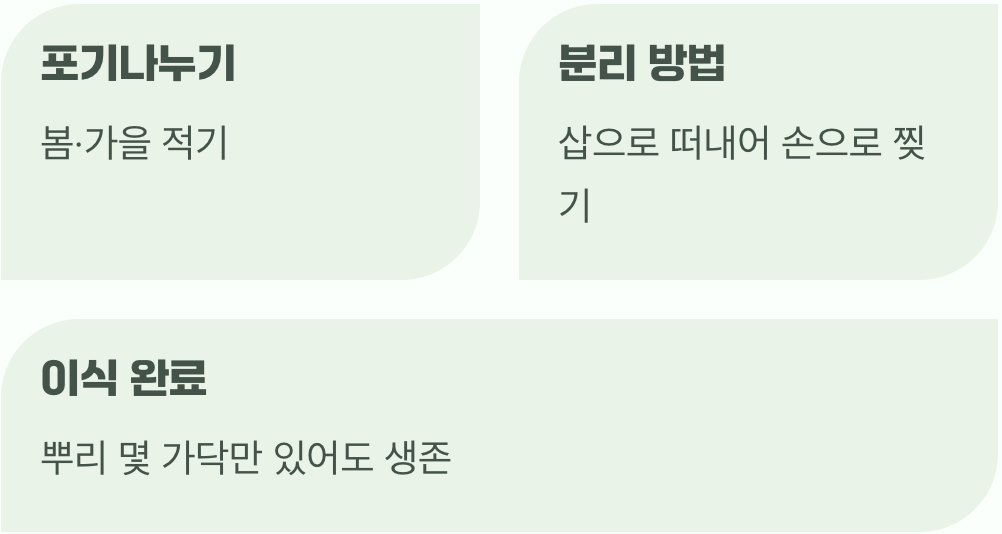 한 포기가 열 포기가 되는 마법