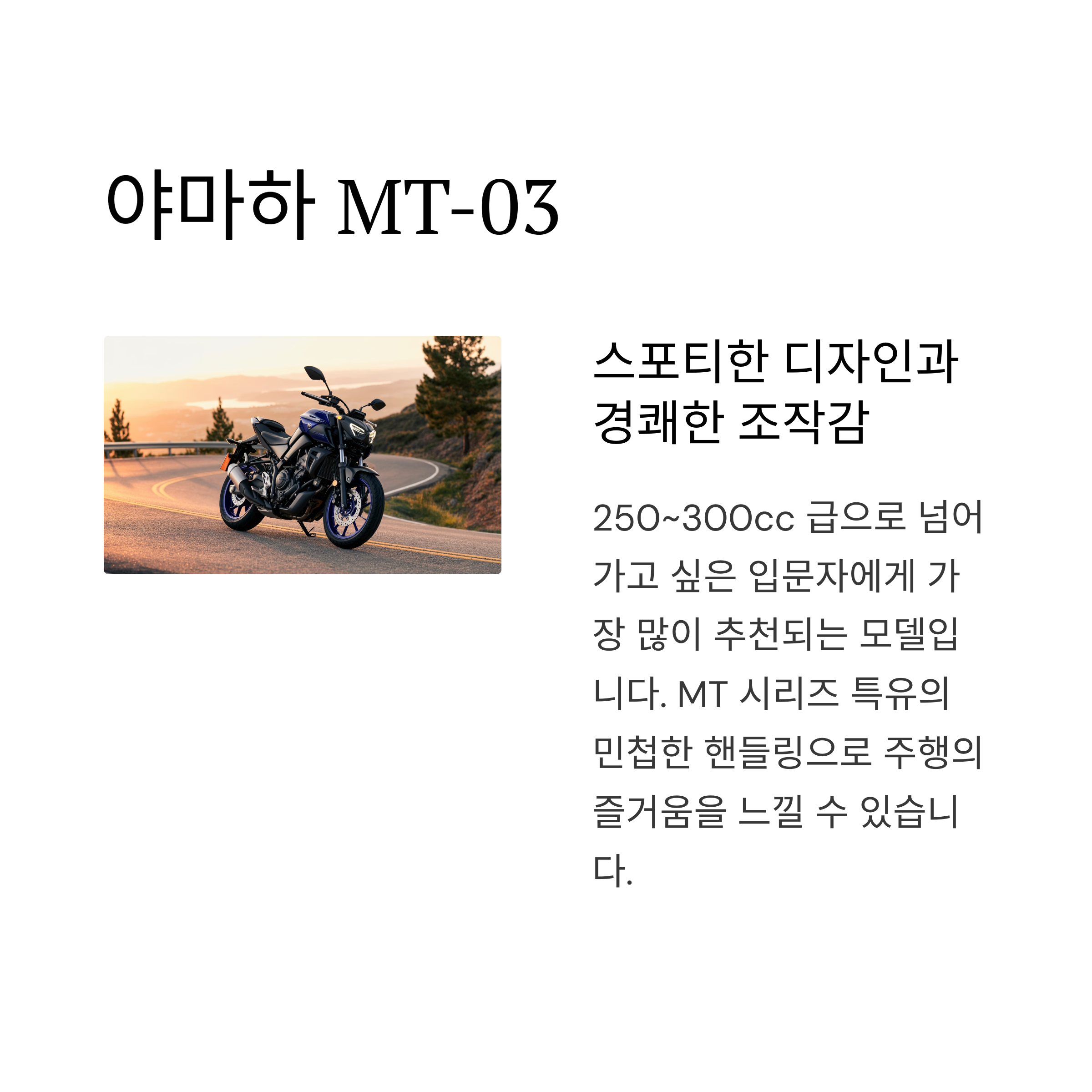 2. 야마하 MT-03