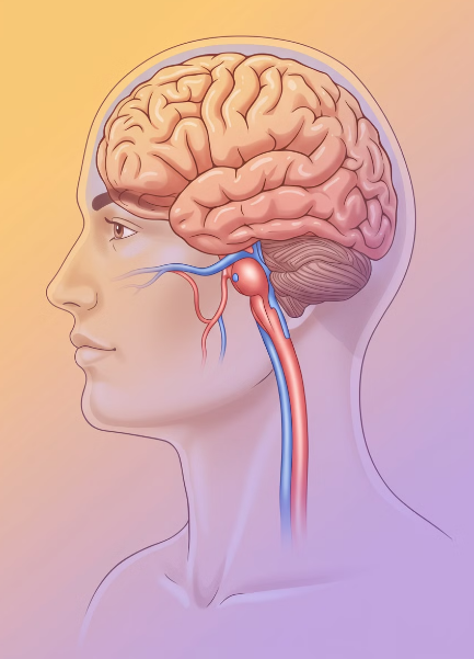 사람의 혈액순환 문제 일러스트 사진