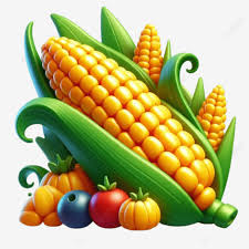 옥수수 맛있게 삶는 방법