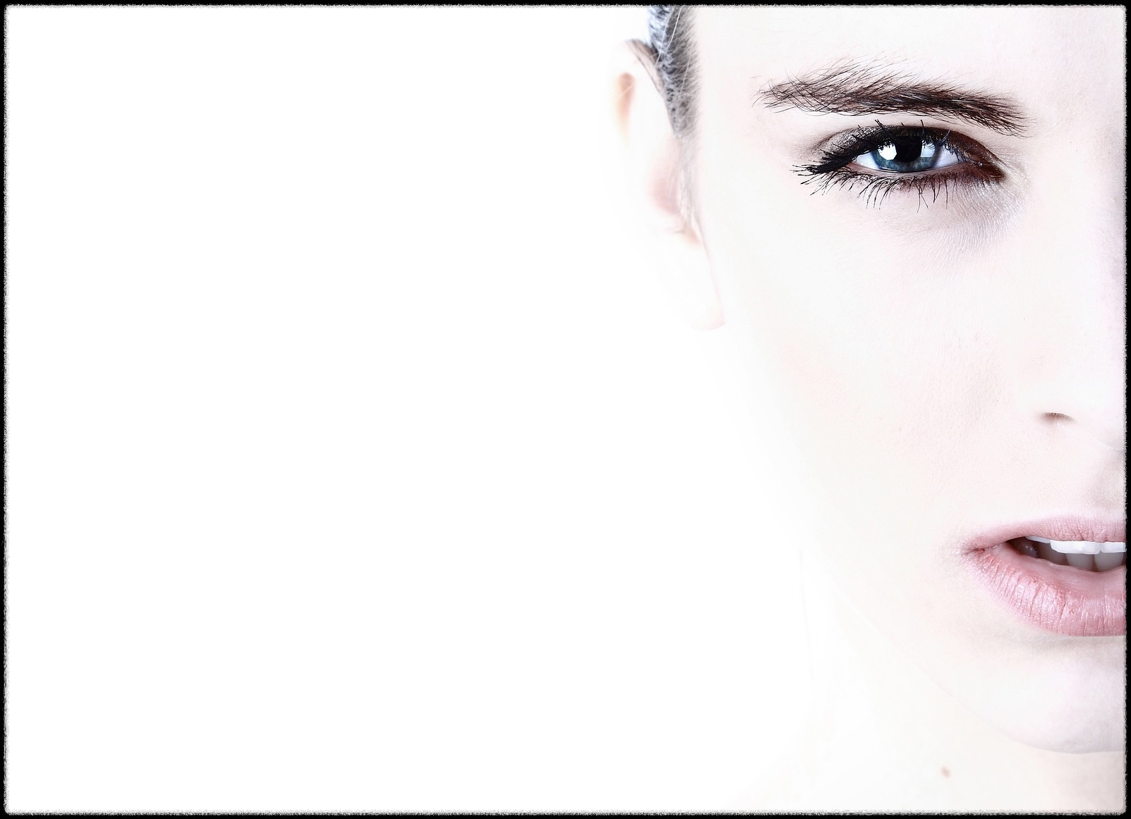 토마토 관련 이미지7