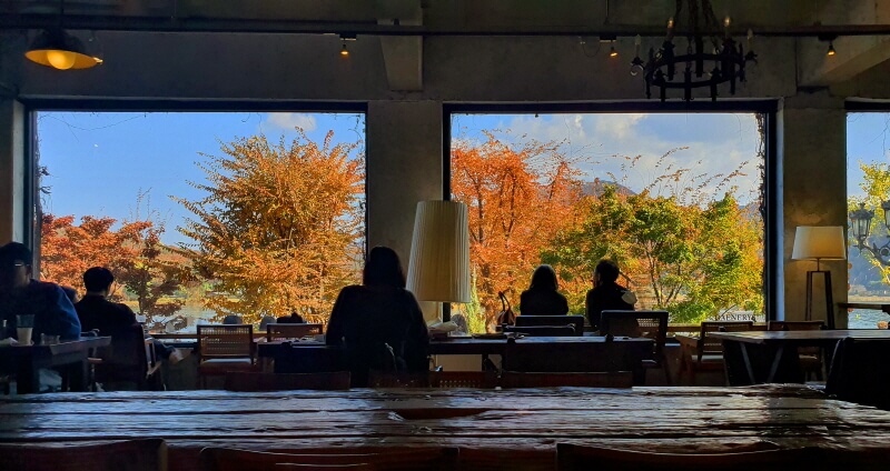 대너리스-카페-단풍