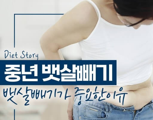 중년 뱃살