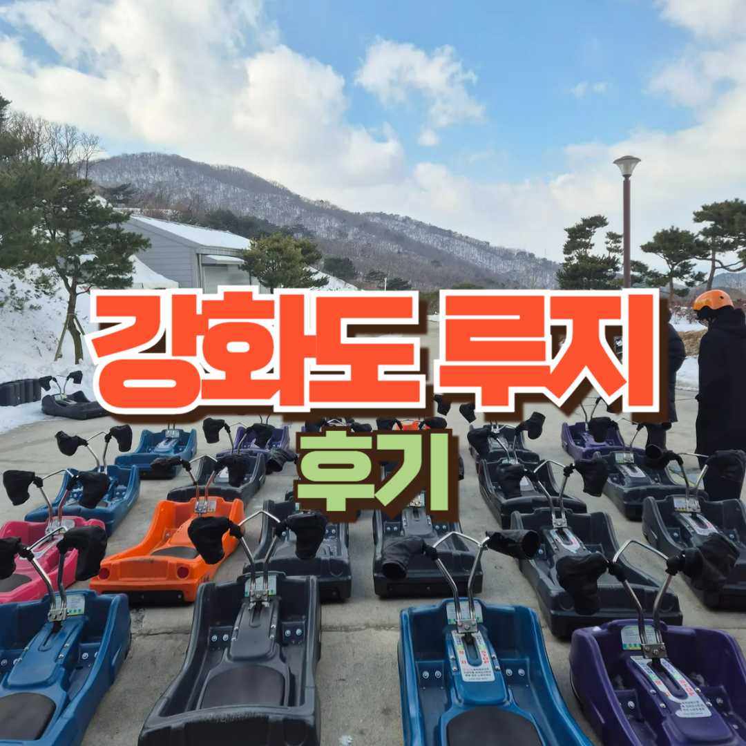 강화도 루지 강화 루지