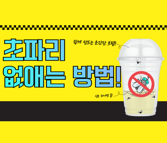 초파리 없애는 방법