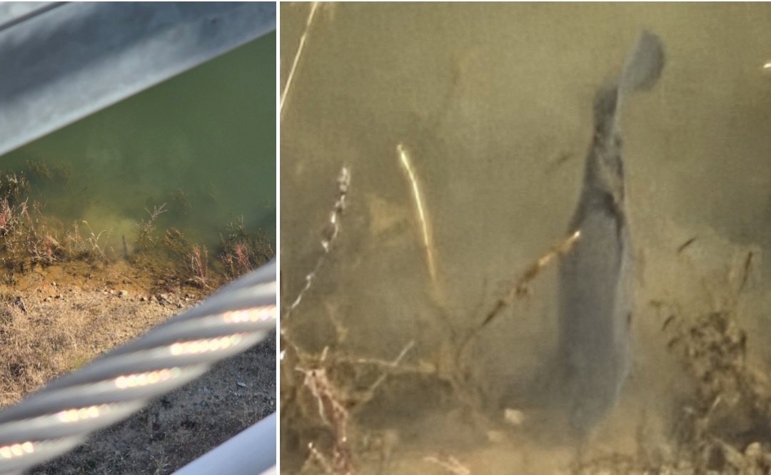 영주호 용마루2공원 가을 산책 후기