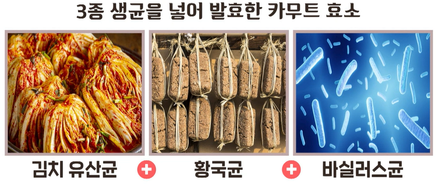 카무트 효소