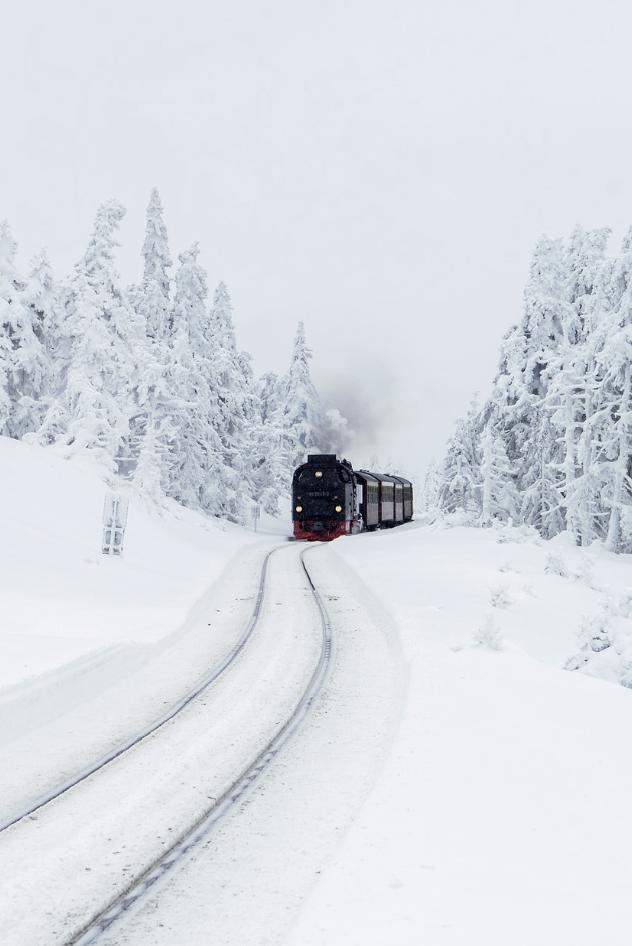 겨울 기차여행