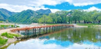 영월 섶다리마을의 강가 시간 여행 산책길 경험기_16