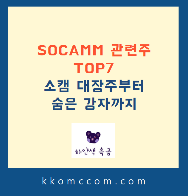 SOCAMM 관련주 관련 포스팅 썸네일