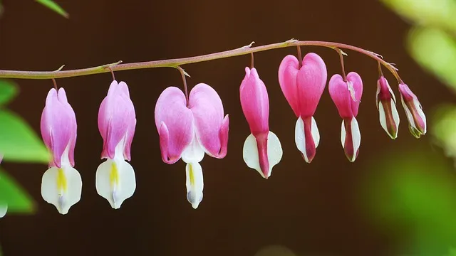 대둔산 등산코스 상세 등산지도와 안전한 산행 팁 2025_5