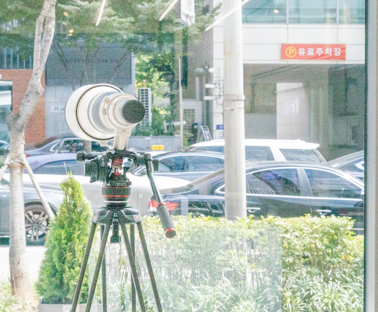 캐논 EOS RP, EOS R, EOS R, EOS R6 암부 복원 능력 테스트