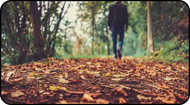 ๋ด์ฅ์ฐ ๋ฑ์ฐ์ฝ์ค ์ถ์ฒ(+ ๋ฑ์ฐ์ง๋ )