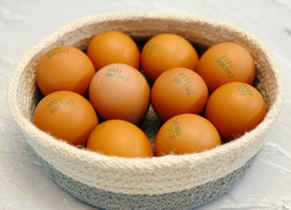 계란 다이어트 아침 활용법