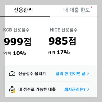 NICE 신용점수 확인 사진