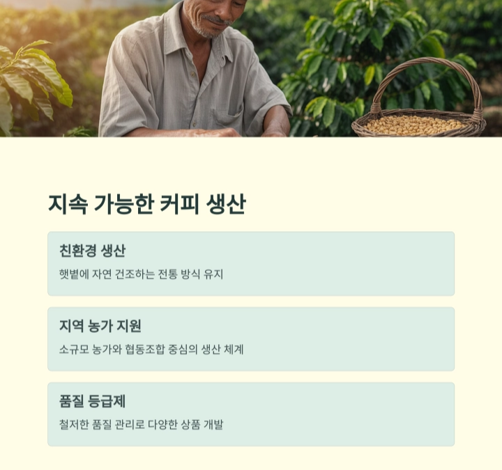 베트남 커피, 세계를 사로잡는 향과 이야기