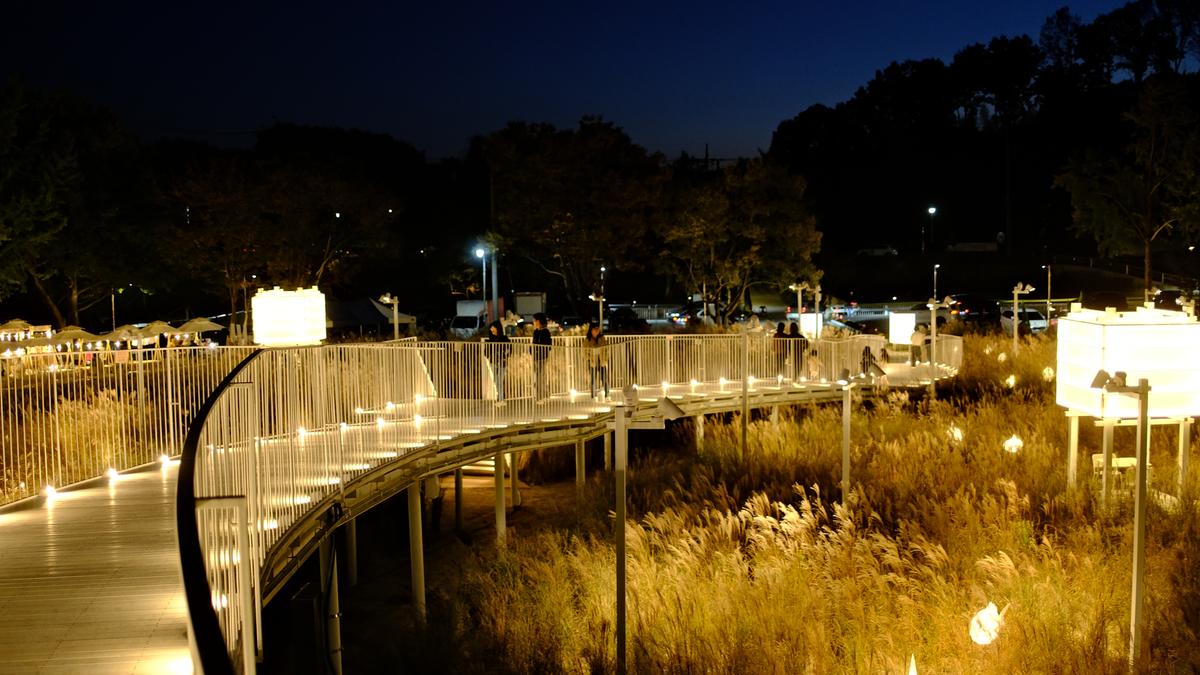 야간 조명이 켜져 화려한 분위기를 자아내는 진주빛마루 야외정원 풍경