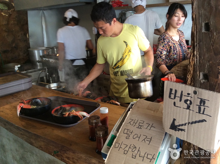 제주 비체올린 능소화축제